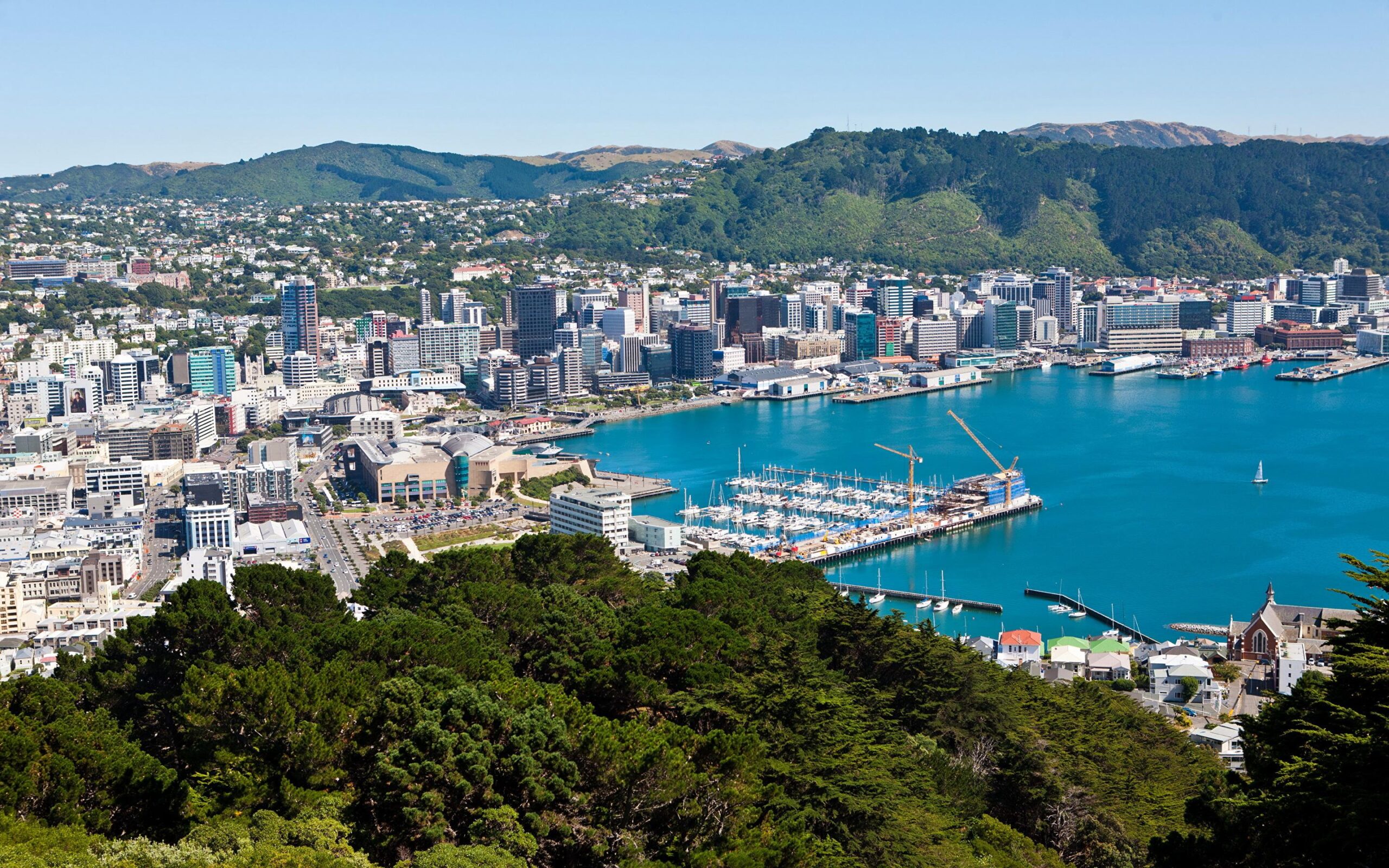 Wellington